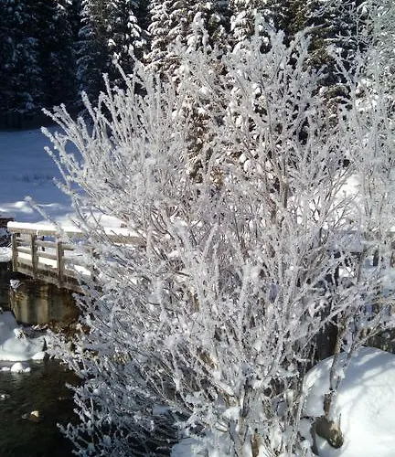 Apartament Haus Schoderbock *