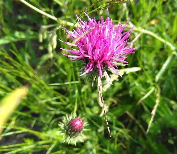 Apartament Haus Schoderbock St. Leonhard im Pitztal